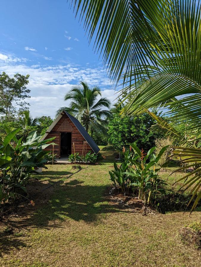 Отель Bewak Cr Тортугеро Экстерьер фото